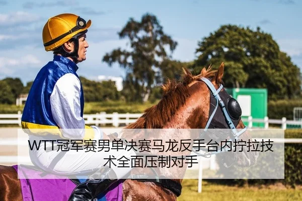 WTT冠军赛男单决赛马龙反手台内拧拉技术全面压制对手（Kaiyuan Games）